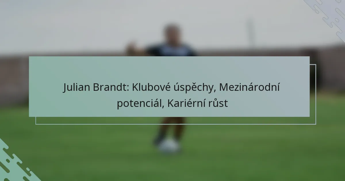 Julian Brandt: Klubové úspěchy, Mezinárodní potenciál, Kariérní růst