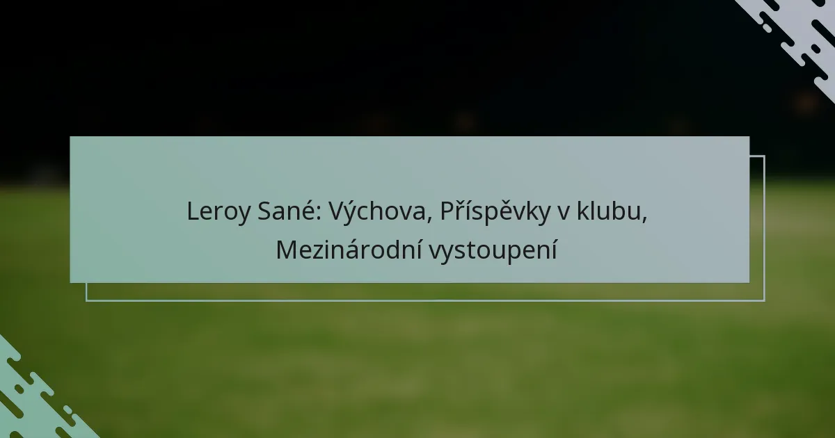 Leroy Sané: Výchova, Příspěvky v klubu, Mezinárodní vystoupení